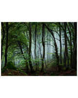 Витоша и през пролетта; comments:4