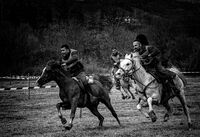 без име ( ID=2574060 ); Коментари:2