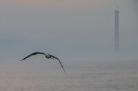 Sliding in Silence; comments:2