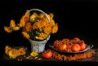 no name ( ID=2574104 ); comments:53