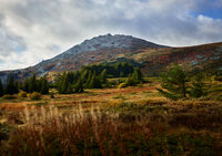 Есенна Витоша; comments:2