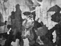 Светлини и сенки,  сцени от живота; comments:11