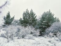 no name ( ID=2574137 ); comments:12