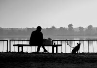 no name ( ID=2574148 ); comments:9