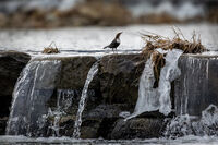 no name ( ID=2574150 ); comments:2