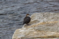 no name ( ID=2574151 ); comments:6