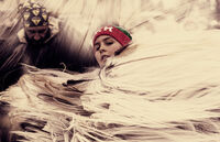 no name ( ID=2574165 ); comments:2