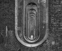 Последен варянт; comments:15