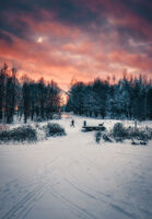 no name ( ID=2574181 ); comments:5