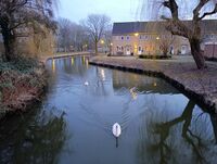 no name ( ID=2574183 ); comments:3