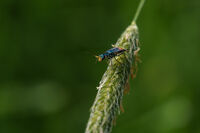 no name ( ID=2574187 ); No comments