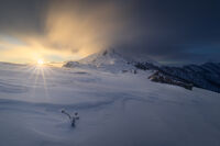 Замръзналото цвете на Ехо; comments:11