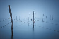 no name ( ID=2574231 ); comments:11