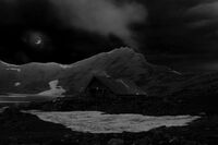 Вълчи нощи; comments:4