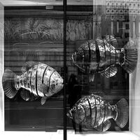 Аз и рибите; comments:17