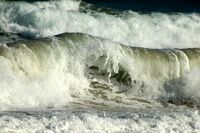 Морска вълна; Коментари:8