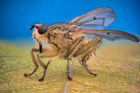 no name ( ID=2574320 ); comments:2