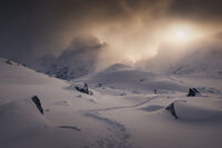 Зимният път на камила; comments:4