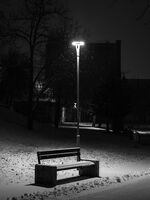 Зима в парка; comments:4