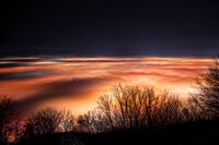 Скритата София; comments:8