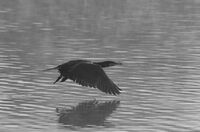 no name ( ID=2574349 ); comments:6