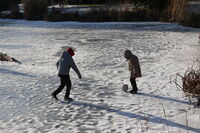 Футбол върху лед; comments:3