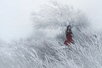 no name ( ID=2574358 ); comments:34