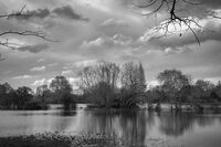 Безцветно  (х2); comments:8