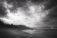 Щастието има вкус на море; comments:34