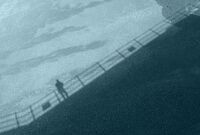 Сянка, въоръжена с безкрайно търпение, очакваща океанския прилив; comments:3