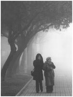 no name ( ID=2574493 ); comments:11