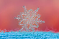 no name ( ID=2574496 ); comments:8