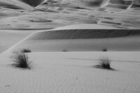 Highway in the desert; comments:5