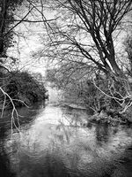 Още  (х 2); comments:5