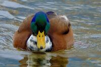 no name ( ID=2574543 ); comments:3