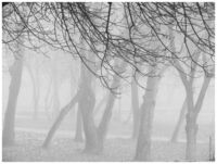 no name ( ID=2574551 ); comments:4