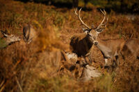 no name ( ID=2574553 ); comments:6