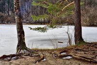 Боянско езеро; comments:1