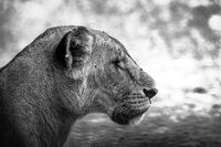 Тъжна...; comments:4