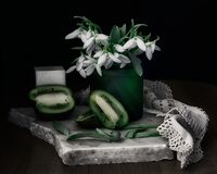 Кокиче белоснежно, о, цвете мило, нежно...; comments:33