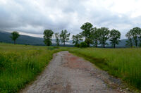 no name ( ID=2574605 ); comments:2