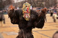 без име ( ID=2574607 ); Няма коментари