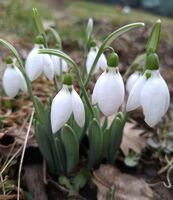 без име ( ID=2574624 ); Коментари:3