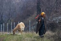 Грижите за козата; comments:9