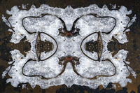 Ice Patch; comments:12