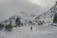 без име ( ID=2574641 ); Коментари:2