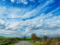 no name ( ID=2574642 ); comments:4