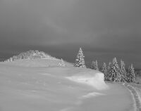 На вр. Перелик преди много зими...; comments:11