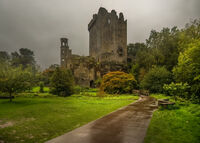 no name ( ID=2574656 ); comments:11