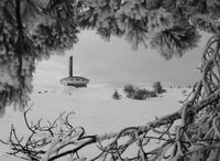 Бузлуджа; comments:8